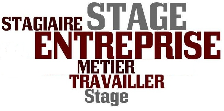 stage-en-entreprise